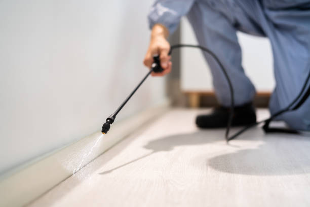 Licensed Rodent Control service in Cedar Bluff, VA - Nex Pest Control