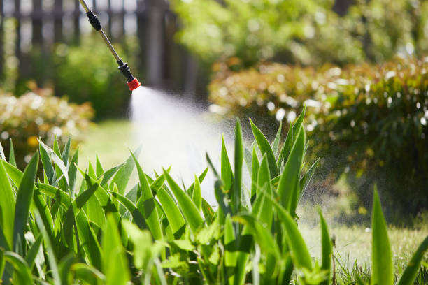 24/7 Emergency Rodent Control experts in Cedar Bluff, VA