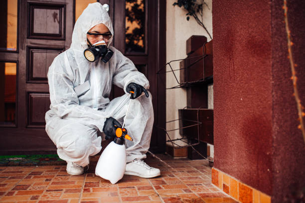 Reliable Rodent Control contractor in Cedar Bluff, VA by Nex Pest Control