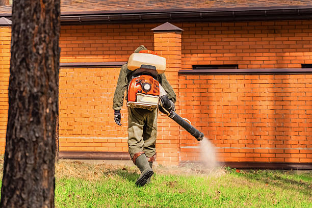 Top rated local Rodent Control specialists in Cedar Bluff, VA